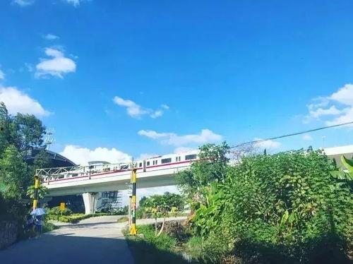 广州edy最新爆料,揭秘城市热点事件背后的真相 第1张 广州edy最新爆料,揭秘城市热点事件背后的真相 第1张