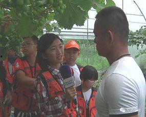 泉港记者爆料事件最新,揭开事件背后惊人真相 第1张 泉港记者爆料事件最新,揭开事件背后惊人真相 第1张